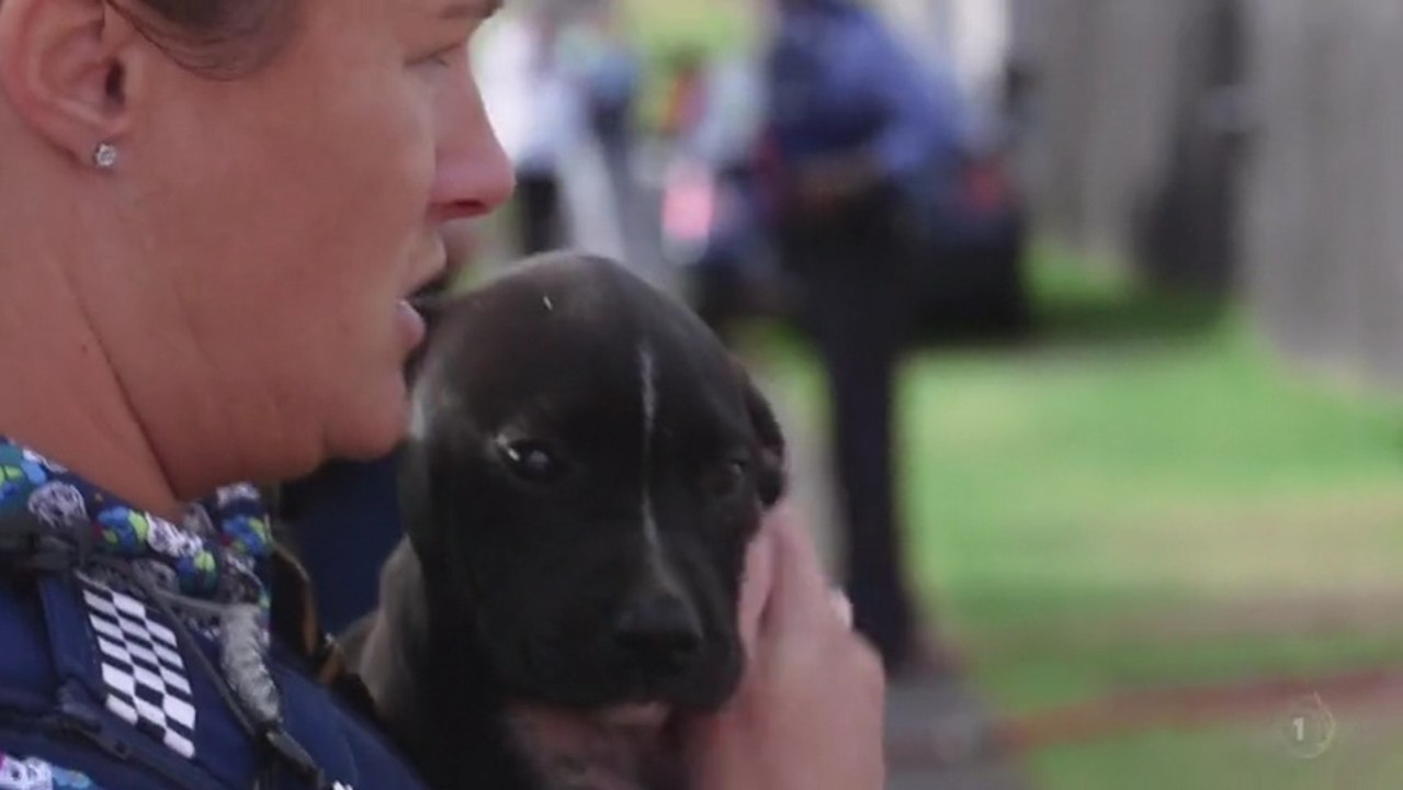 Women in Blue S02E02