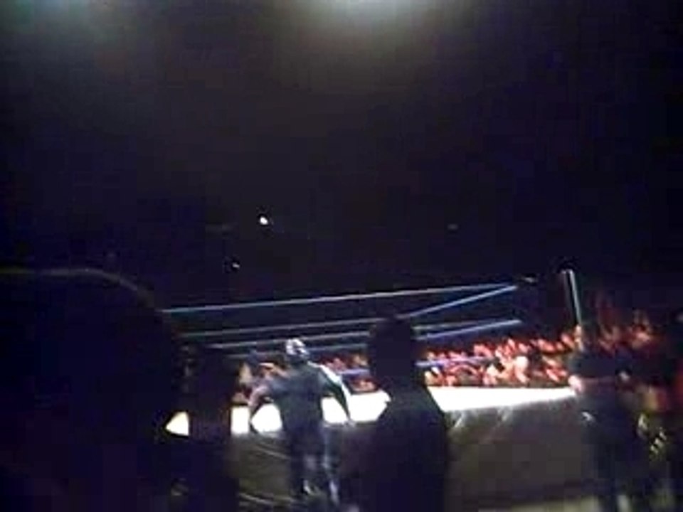WWE SMACKDOWN LIVE TOUR BERCY SORTIE MARK HENRY