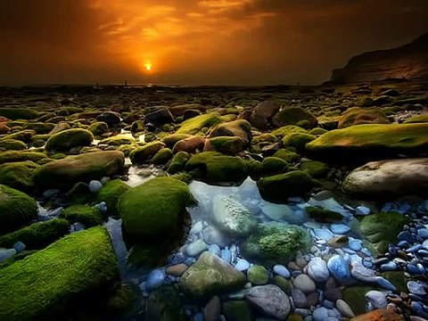 Я люблю Тебя, Иисус! христианская песня