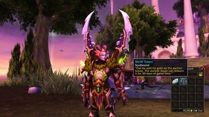 World of Warcraft Official WoW Token Overview