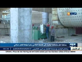 بسكرة .. تحقيق تقدّم فلاحي كبير وانتاج يصل الى 5ملايين طن من الاسمنت