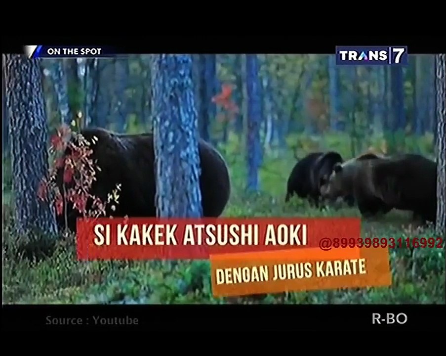 Orang Selamat Melawan Hewan Buas