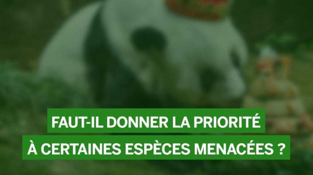 Faut-il donner la priorité à certaines espèces menacées ?