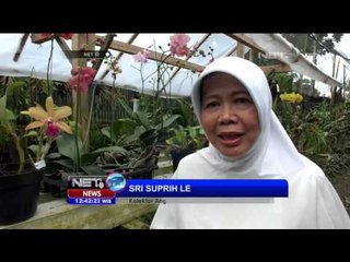 Dari Hobi, Seorang Perempuan Yogyakarta Jadi Kolektor Anggrek - NET12