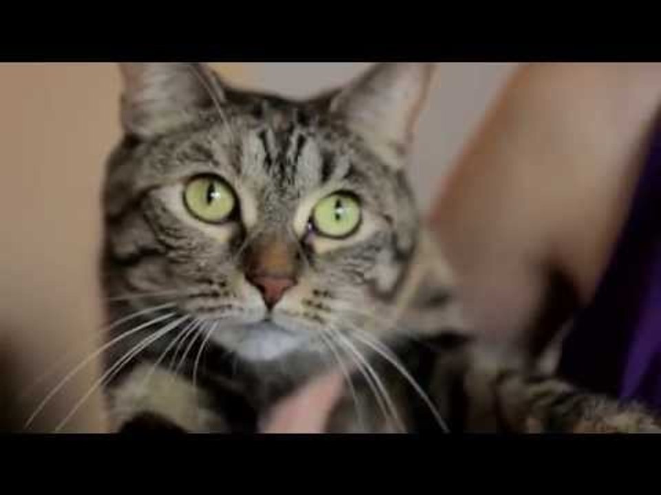 Cool Hunting Video: Fferrone Design