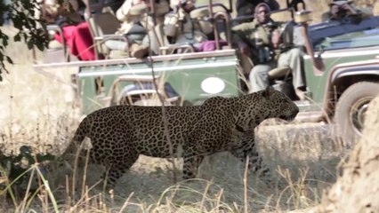 Cool Hunting Video: CH Edition Zambia 2014