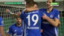 All Goals & highlights - Sandhausen 1-4 Schalke - 08.02.2017 ᴴᴰ