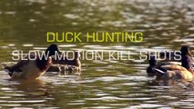 Duck Hunting Slow Motion HD,Duck Hunting,Chasse Au