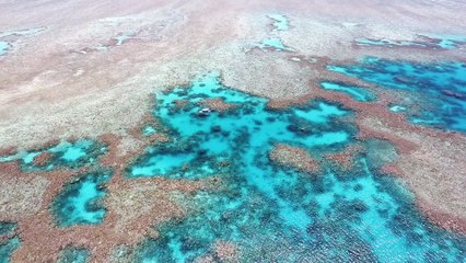 Bienvenue sur l'île de Mayotte - Fifty shades of Blue