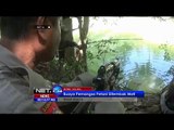 Buaya Pemangsa Petani Ditembak Mati Di Bone, Sulawesi Selatan - NET24