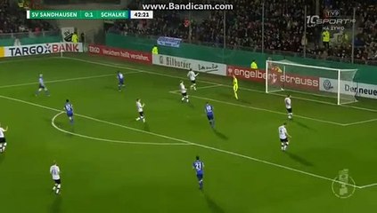 Coupe d'Allemagne : SV Sandhausen 1-4 Schalke 04 (passe décisive de Nabil Bentaleb)