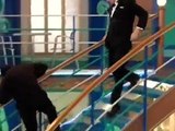 The Suite Life on Deck S02E01 - The Spy Who Shoved Me