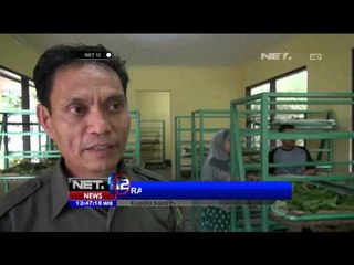 Download Video: Panen Ulat Sutera Dimulai Maret - NET12