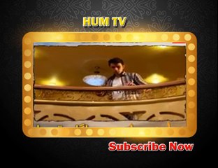 Saya e Dewar Bhi Nahi Episode 26 Full HD HUM TV Drama 15 February 2017