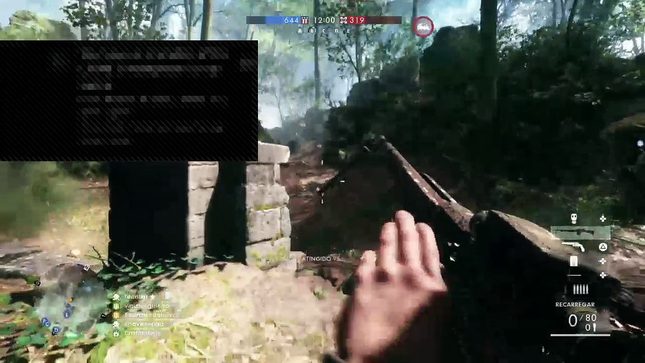 Bf1 (2)