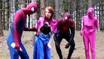 Pink Spidergirl & Maleficent Get a PINOCCHIO NOSE! w/ Spiderman, Frozen Elsa & Anna, Merma