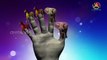 Elephant Finger Family Nursery Children English Animated 3d Animals animated rhymes