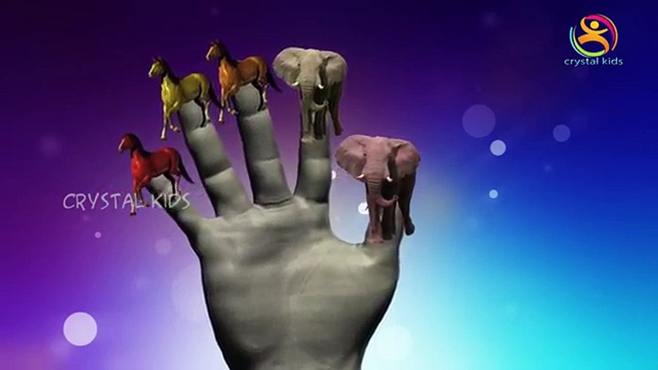 Elephant Finger Family Nursery Children English Animated 3d Animals animated rhymes