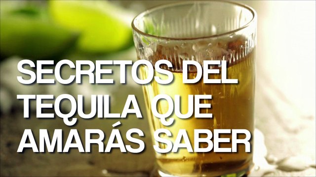 Estos son algunos secretos del Tequila que te encantará saber