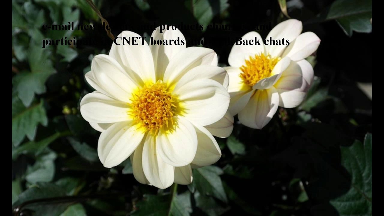 FREE Download free mp3 songs downloader software (filebe7mB)