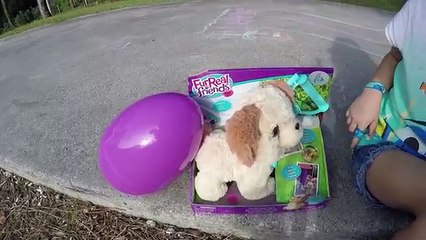 EWW! GROSS PUPPY POOPS PAX MY POOPIN PUP FURREAL FRIENDS & Kinder Egg Surprise Eggs Kids ToysReview