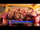 Hampir di Seluruh Nusantara, Harga Bawang Merah Tinggi - NET16