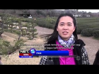 Kebun Teh Di Pulau Jeju, Korea Selatan - NET5
