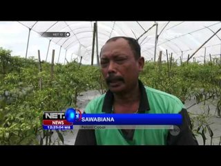 Hadapi Musim Ekstrim, Petani Gunakan Metode Rain Shelter - NET12