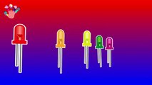 RAINBOW OF LIGHT EMITTING DIODES finger family