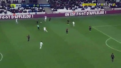 Olympique Marseille 1-0 Guingamp 08-02-2017