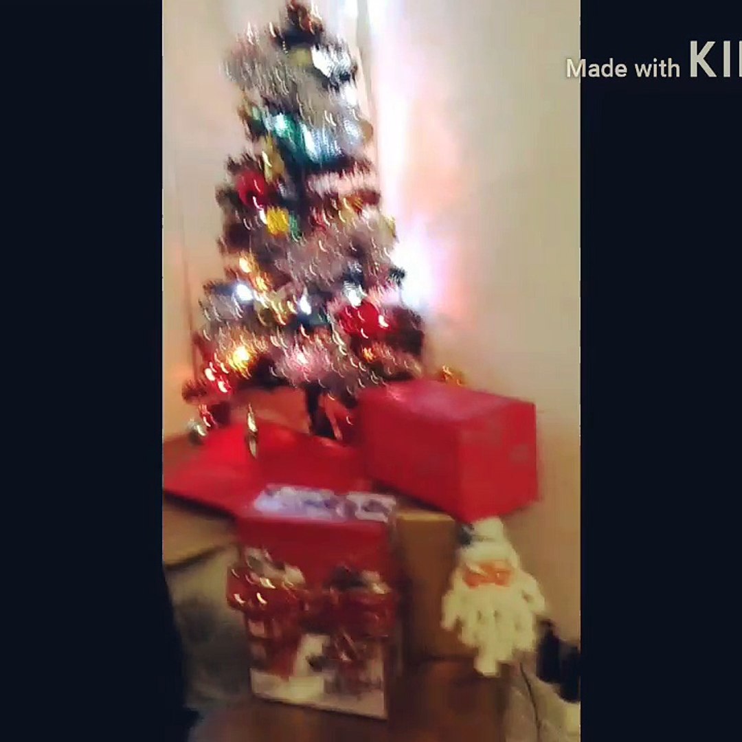 Decoração De Natal