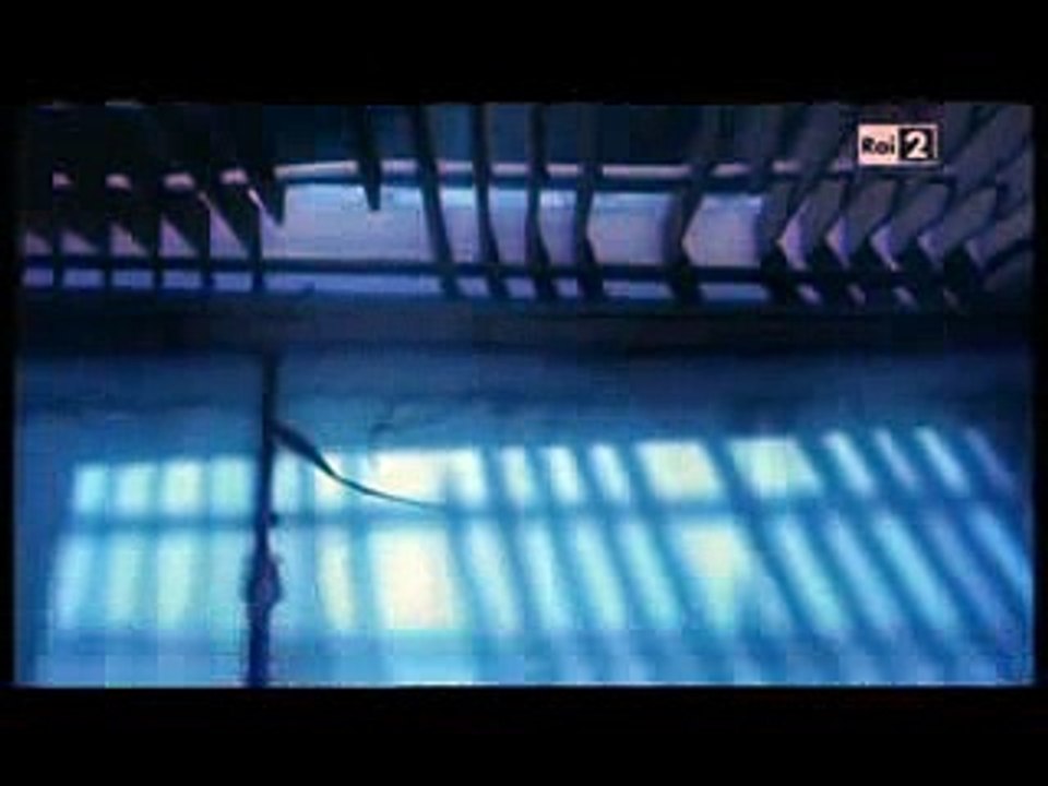 LARVA - Fantasma