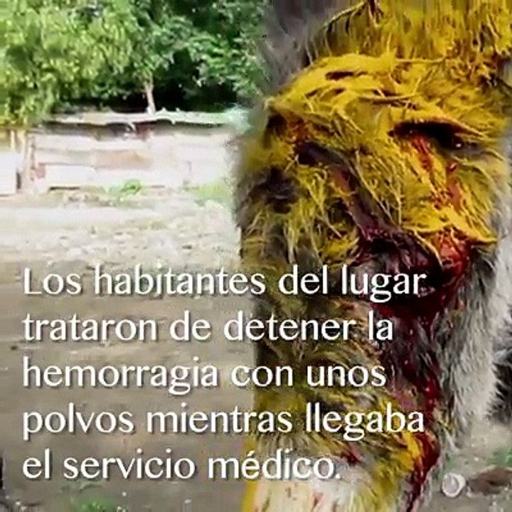 El amor de una madre