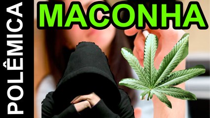 MACONHA: LEGALIZAR OU PROIBIR? - OPINIÃO