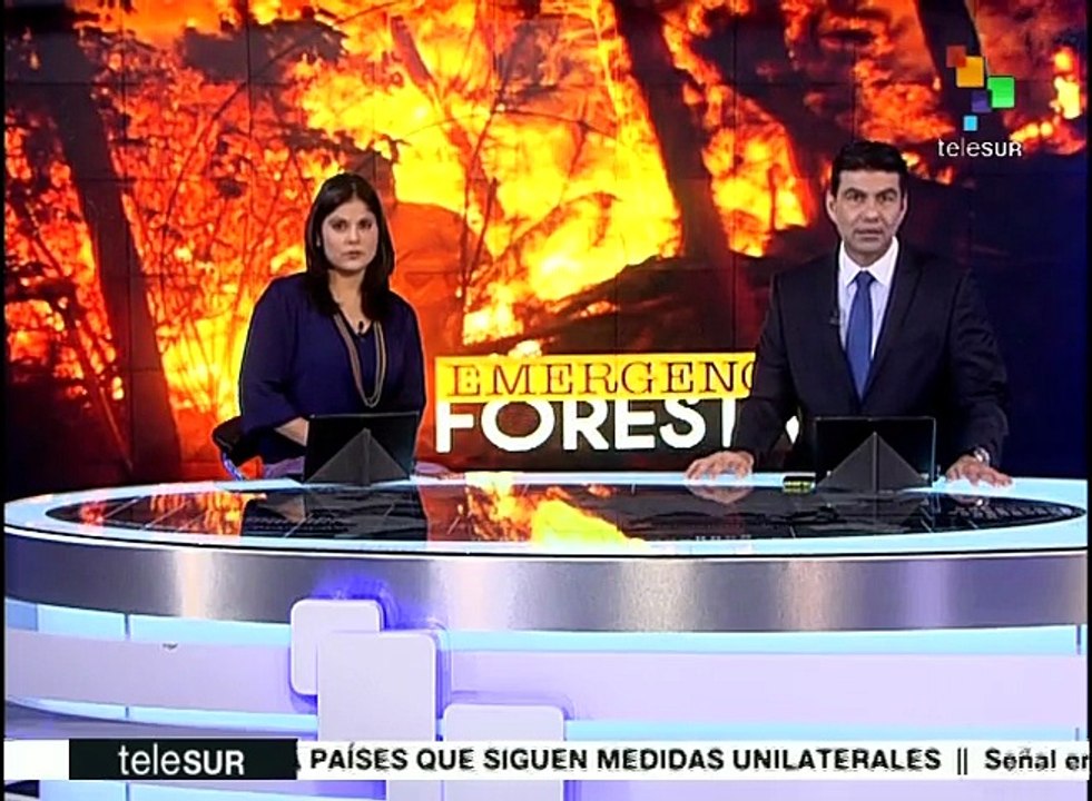 Chile: incendios devastaron especies y ecosistemas completos