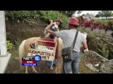 Promo Lentera Indonesia Kuda Pustaka Gunung Slamet