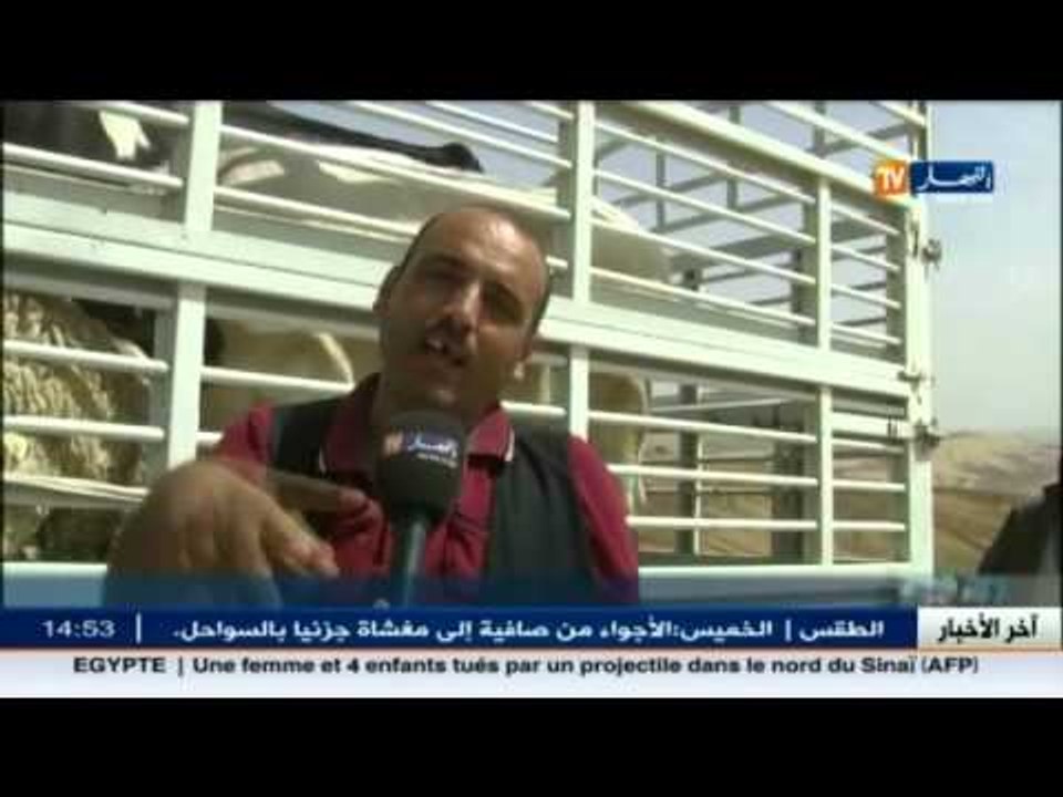 غليزان: ندرة المياه تهدد استقرار موالي منطقة أولاد صابر