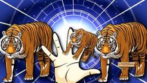 Tiger Cartoon For Children Finger Family Nursery Rhymes | Tiger Cartoons Finger Family Rhymes