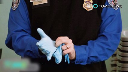 A foto do urso triste da TSA era só uma pegadinha brow!