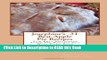 Read Book Josephine s  31 Best Apple Pie Recipes: The Best Delicious Apple Pie Recipes You Will