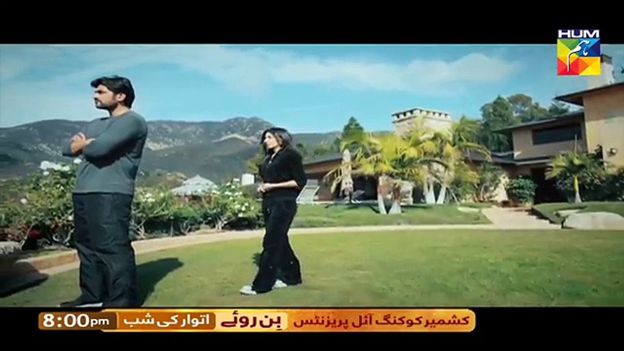 Bin Roye - OST Full - HUM TV Drama
