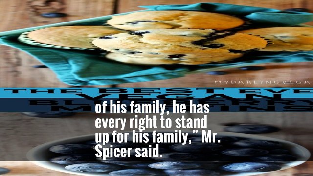 Sean Spicer, Mr. Trump’s press secretary, said the president’s tweet was not about business but about “an attack on his daughter.”