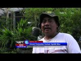 Halaman Rumah Penuhi Pangan Sehari hari di Bantul, Yogyakarta - NEt12