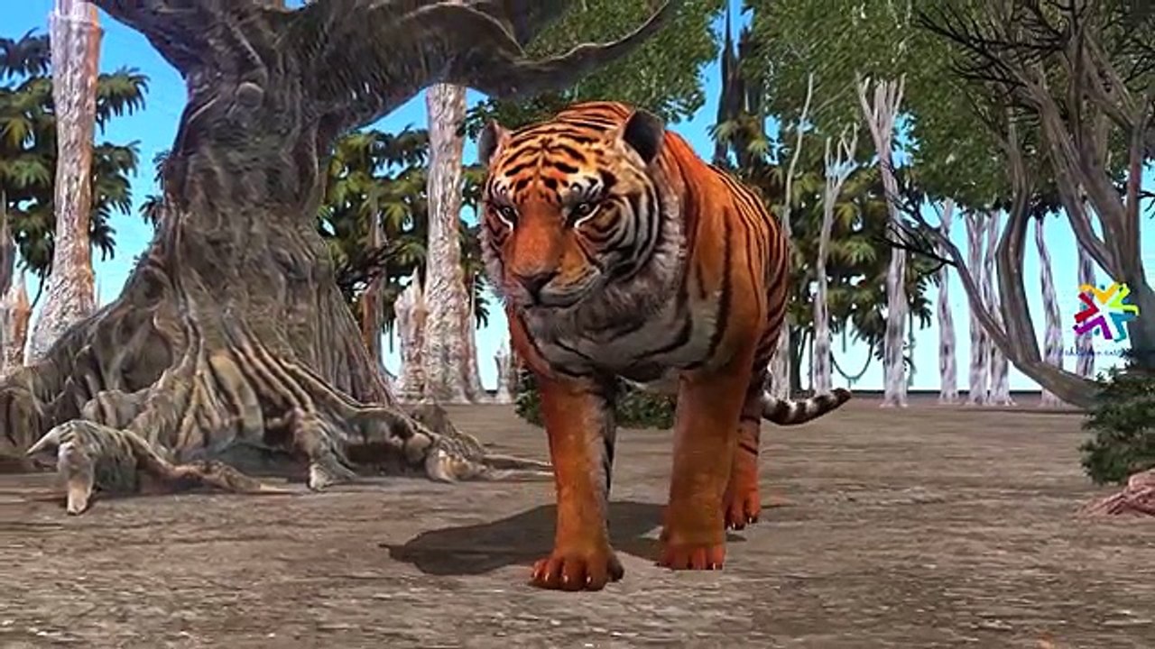 Tiger Finger Family Nursery Rhymes For Babies | Tiger Cartoons Finger Family Rhymes