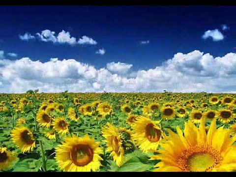 Bajaga - Dobro jutro