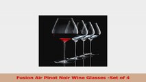 Fusion Air Pinot Noir Wine Glasses Set of 4 e1d1b104