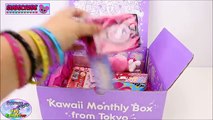 YUME TWINS Sanrio All Stars Kawaii Subscription Box Hello Kitty Surprise Egg and Toy Collector SETC