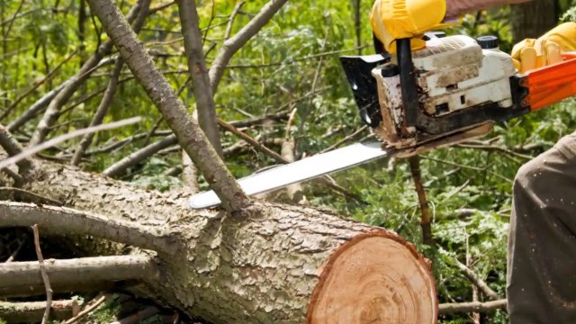 MGS Landscaping - (972) 426-7764