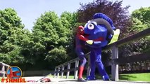 Finding Dory Breaks Her Arm! Doctor Spiderman & Minion vs Finding Dory - Fun Superheroes by SHMIRL