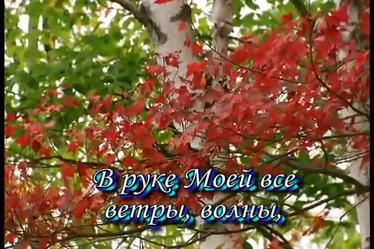 Ты не одна христианская песня